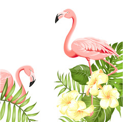 Flamingo bird and plumeria flowers isolated over white background. Tropical birds and flowers illustration. Fashion summer print for invitation card and your template design. Vector illustration