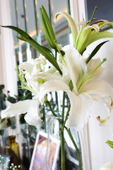 glass vase of white lilie