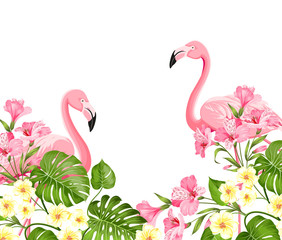 Flamingo bird and plumeria flowers isolated over white background. Tropical birds and flowers illustration. Fashion summer print for invitation card and your template design. Vector illustration