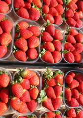 red ripe strawberries for sale at market