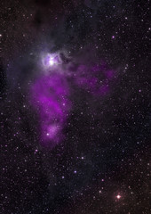 Star field in space and a nebulae. 3D rendering