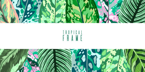 Frame Tropical leaves diffenbachia collection. Vector isolated elements on the white background. Leaf exotic motley color.