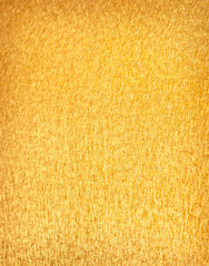 Fototapeta premium gold
