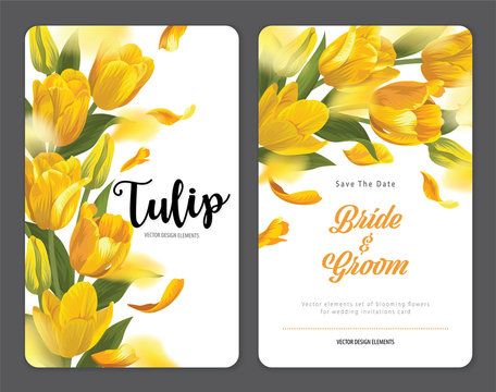 Blooming beautiful yellow tulip flowers background template. Vector set of blooming floral for wedding invitations, greeting card, voucher, brochures and banners design.