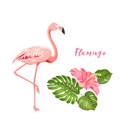 Beautiful tropical image with pink flamingo and plumeria flowers on a white backdrop. Exotic tropical palm tree. Flamingo background and jungle leaf in his beak. The Natural background.