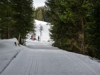 Fototapeta premium piste de ski de fond à Saint Gervais dans les Alpes françaises