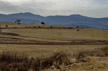 Panorama of Batak dam reservoir with coastal autumn glade, forest and  hill at Rhodope mountains, Bulgaria    