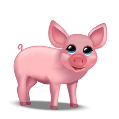 Cute realistic piggy. Pig. Vector illustration