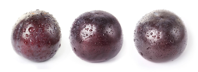 Plum fruit with dew