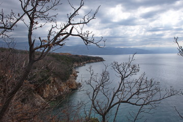 Rocky coast line through the trees