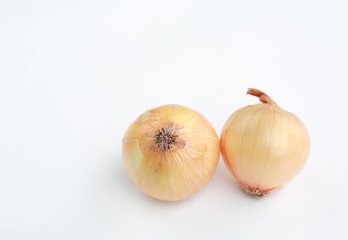 Fresh onion bulb with copy space isolated on white background