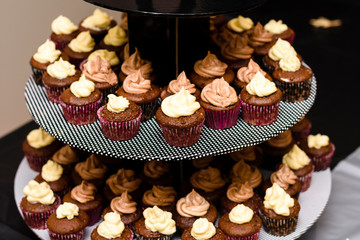 Colorful cupcakes with icing on decoration table.
