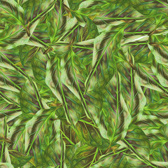 Seamless background. Magnolia Leaves. Stylization: watercolor.