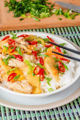 Chicken and apple curry with rice in a bowl and chopsticks, close-up - Asian cuisine.