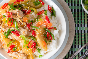 Curry of chicken and apples with rice in a bowl, top view - Asian cuisine.