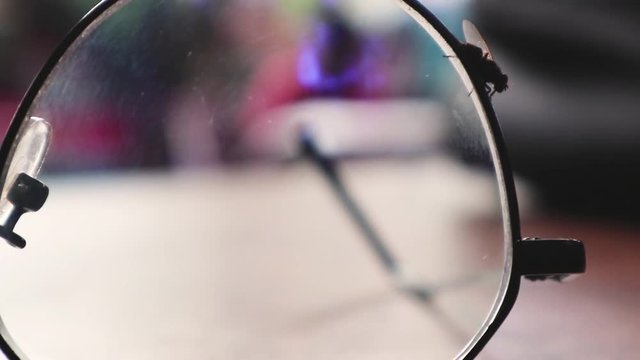 eye glass on the coffeehouse table (Asian) with fly