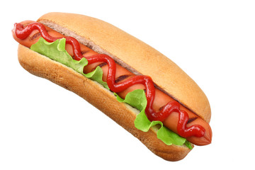 Hot dog grill with lettuce isolated on white background. fast food.
