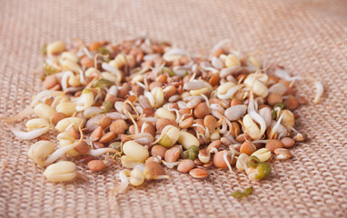 raw sprouted cereal germ for healthy food on a brown napkin