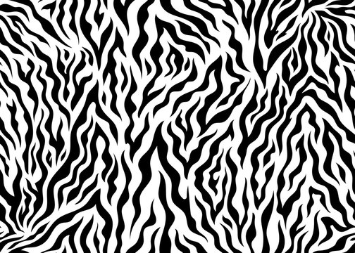 Zebra seamless pattern design, vector illustration background. wildlife fur skin design illustration for web, banner, fashion, backdrop or surface design use