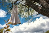 beige wedding dress on a tree