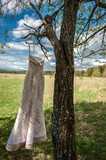 beige wedding dress on a tree