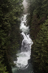 Obraz premium Waterfall in the forest