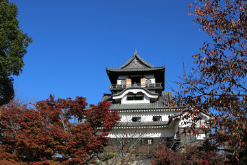 晩秋の犬山城