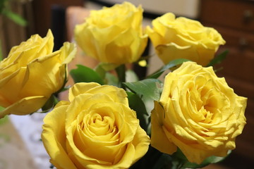 Bunch of yellow roses 