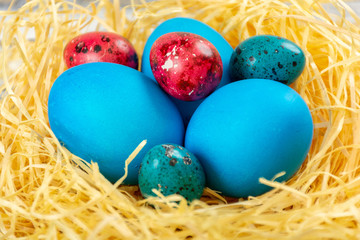Easter eggs in the nest