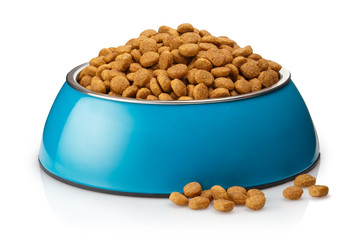 Dry cat food in a blue bowl, isolated on white background