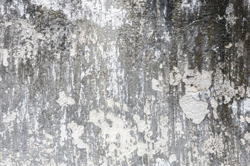 Grunge textures backgrounds. Perfect background with space