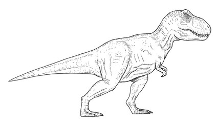 Drawing of dinosaur - hand sketch of tyrannosaurus rex, black and white illustration