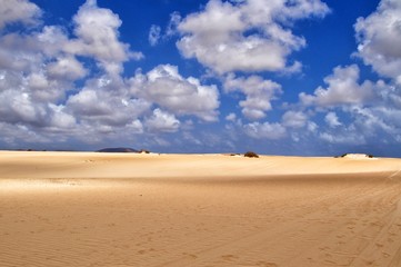 Fototapeta na wymiar sand dunes of corralejo on fuerteventura canary island in spain