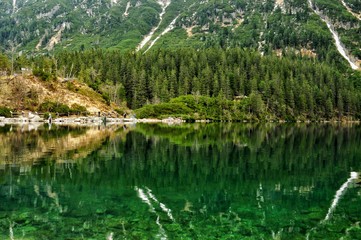 morskie oko lake and pine tree forest in polish tatra mountains © mariia