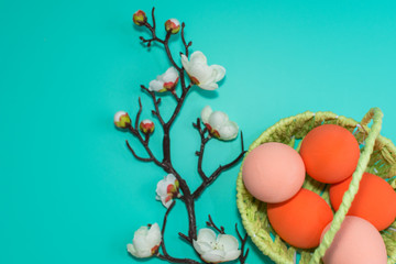 basket with painted eggs and a blooming branch on a turquoise background. happy Easter card