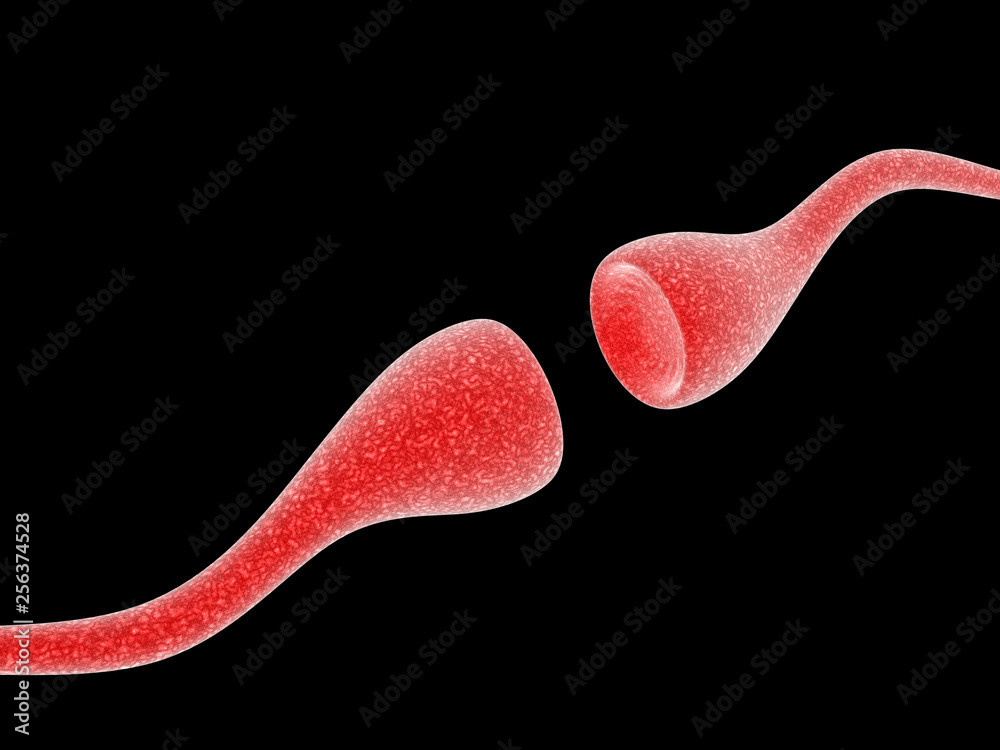 Wall mural synapse and neuron cells sending electrical chemical signals. 3d rendering