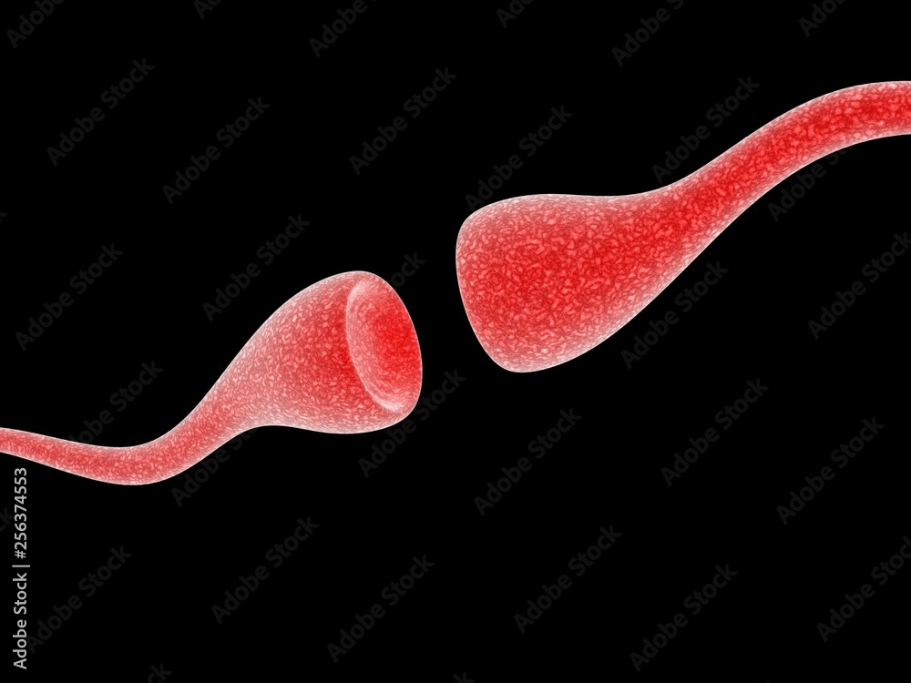 Canvas Prints synapse and neuron cells sending electrical chemical signals. 3d rendering