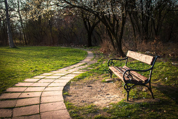 Bench in the park, beginning of spring. First blossoms on tree and fresh green grass.