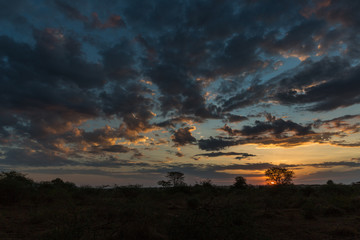 Abendrot über der Serengeti