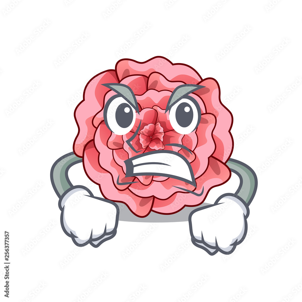 Sticker Angry carnations flower isolated with the cartoon