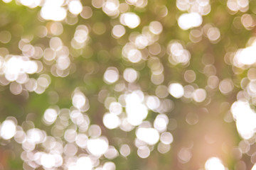 Obraz premium Green bio background, abstract blurred foliage bright sunlight. Organic design nature abstract background with copyspace for text advertising design. Green abstract light background and bokeh effect