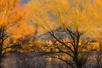 Obraz premium Golden magical landscape with rainbow 