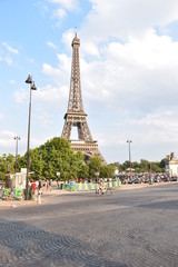 Fototapeta na wymiar eiffel tower in paris from amazing view