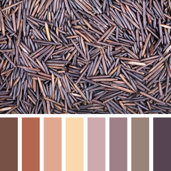 Wild rice palette
