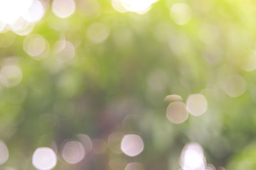 Obraz premium Defocused abstract nature background yellow leaves and bokeh lights. Royalty high-quality free stock image of natural blurred bokeh background from leaf with copyspace for text advertising design