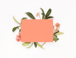 Minimal composition with a paper coral blank card and flower on a white background. Mockup with blank card. Flat lay. Top view.