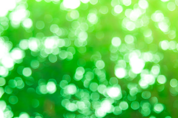Obraz premium Defocused abstract nature background yellow leaves and bokeh lights. Royalty high-quality free stock image of natural blurred bokeh background from leaf with copyspace for text advertising design