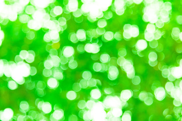 Obraz premium Defocused abstract nature background yellow leaves and bokeh lights. Royalty high-quality free stock image of natural blurred bokeh background from leaf with copyspace for text advertising design