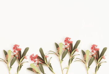 Flowers on white background. Flat lay, top view. Floral background. Valentines Day and Mother Day background