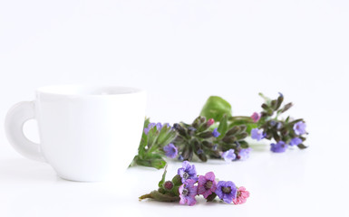 Herbal tea from Pulmonaria officinalis for herbal medicine and the flowers on white wood background. Minimalism. Beautiful spring wildflowers . Edible ,healthy .